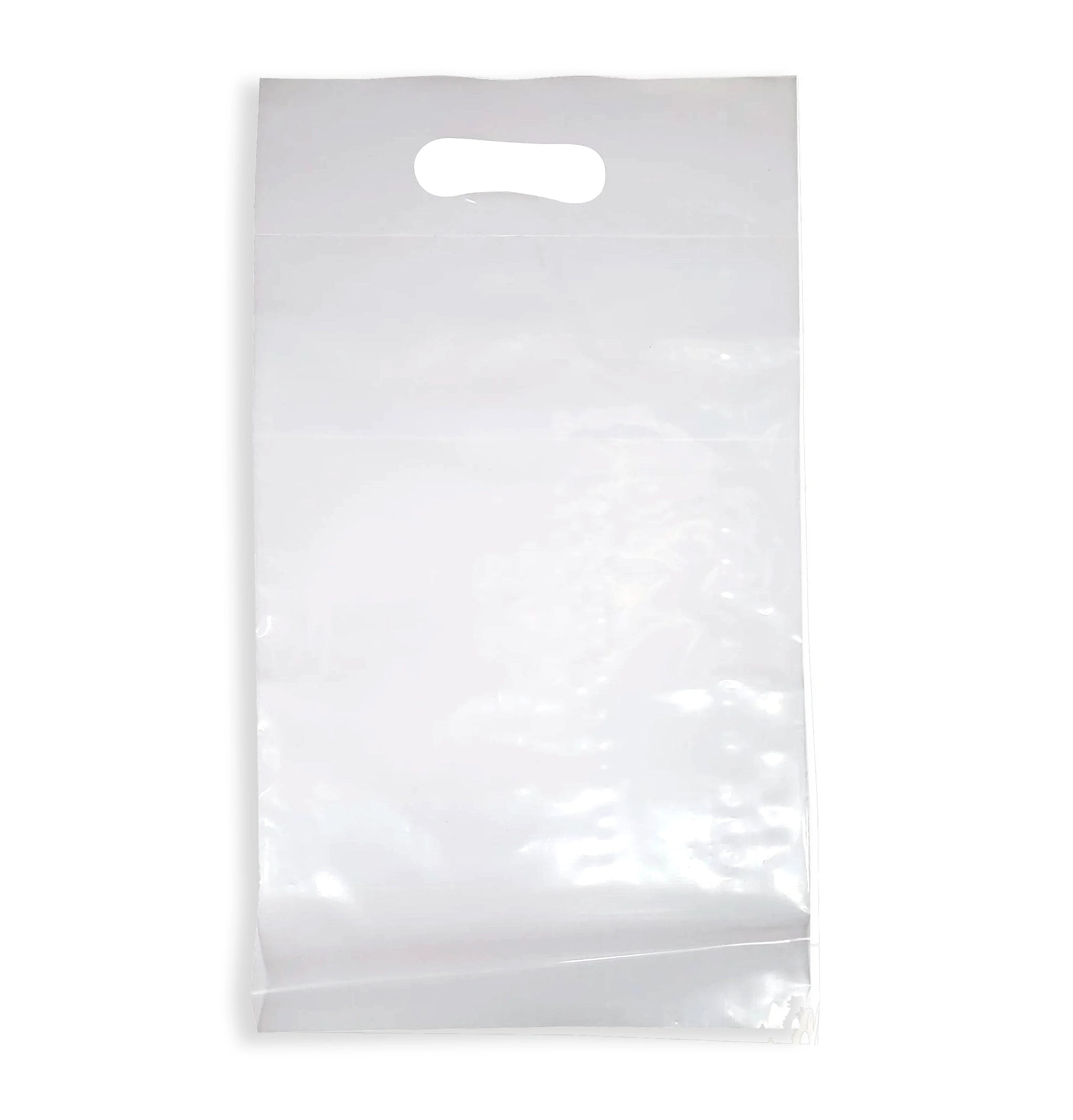 Packaging Bag - 9x14+3 - 1000Ct