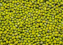 NuPak /Dunya - Green Lentils - 10Lb