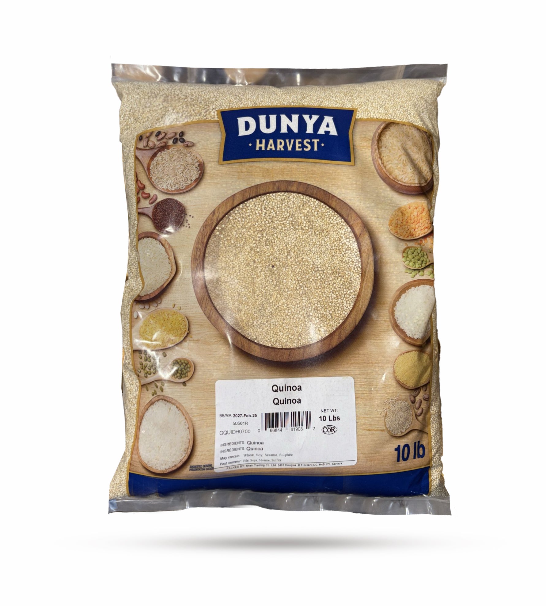 Duniya Harvest - Quinoa Seeds - White - 10Lb
