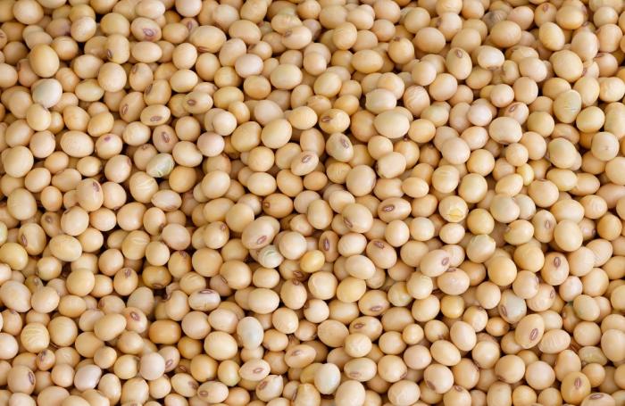 Laxmi - Urad Gota - 10Lb