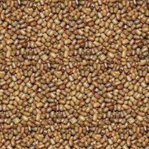 Mitram - Moth Dal - 4Lb