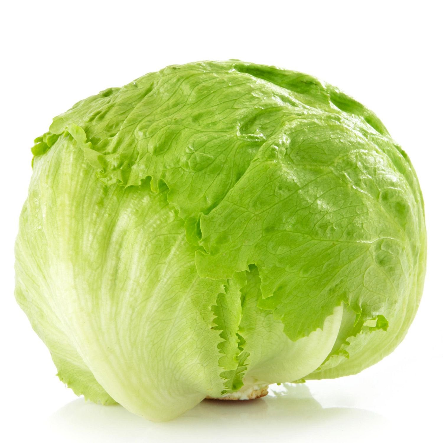 Fresh - Lettuce - Head