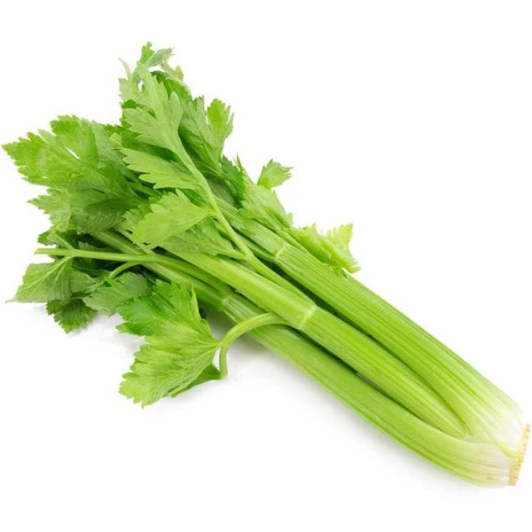 Fresh - Celery