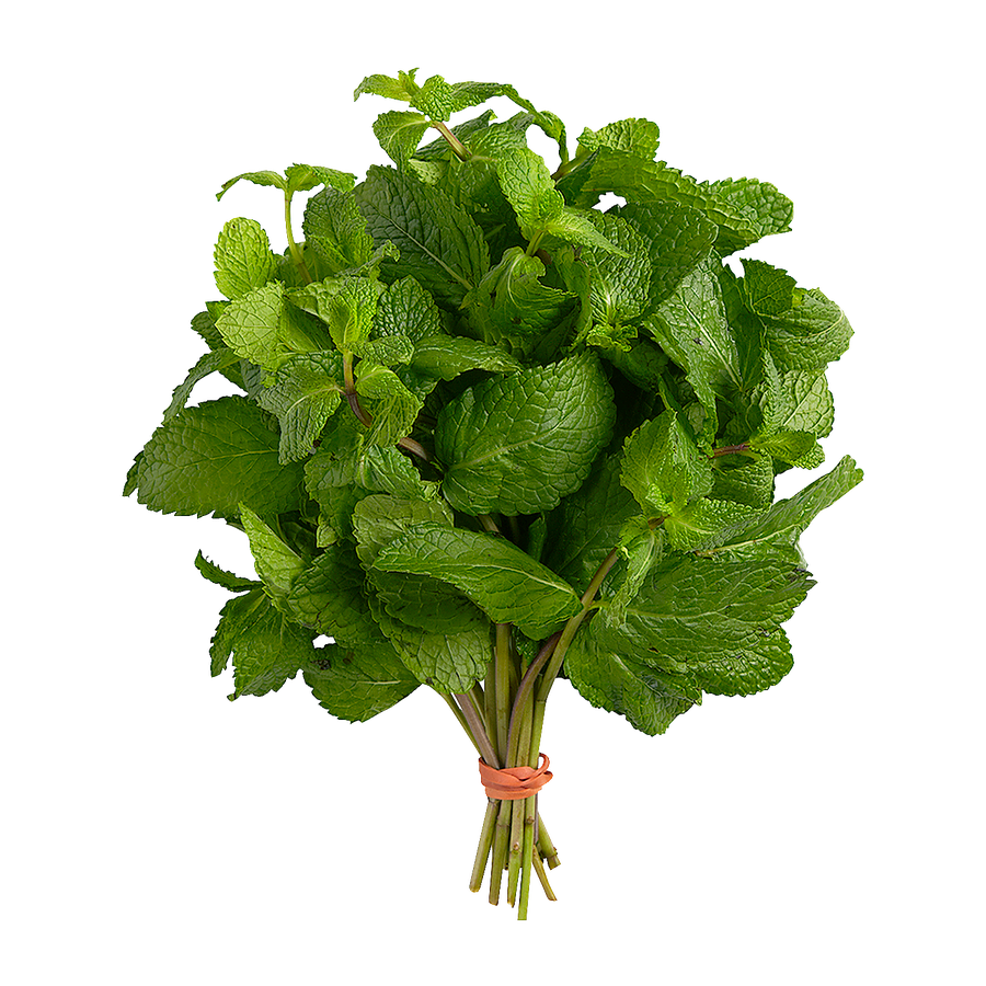 Fresh - Mint