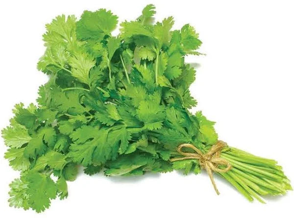 Fresh - Cilantro