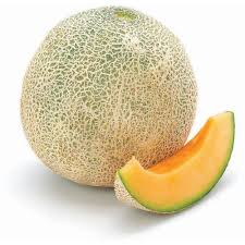 Fresh - Melon - Cantaloupes