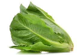 Fresh - Romain Lettuce