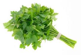 Fresh - Parsley - 1Ct