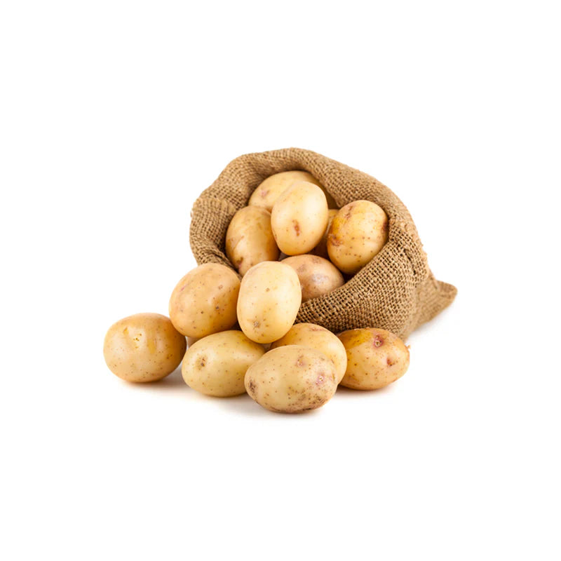 Fresh - Russet Potato - Large - 10Lb