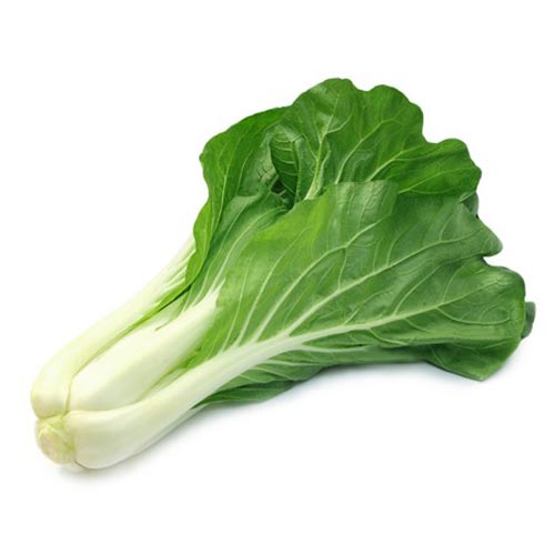 Fresh - Bok choy - 25Lb