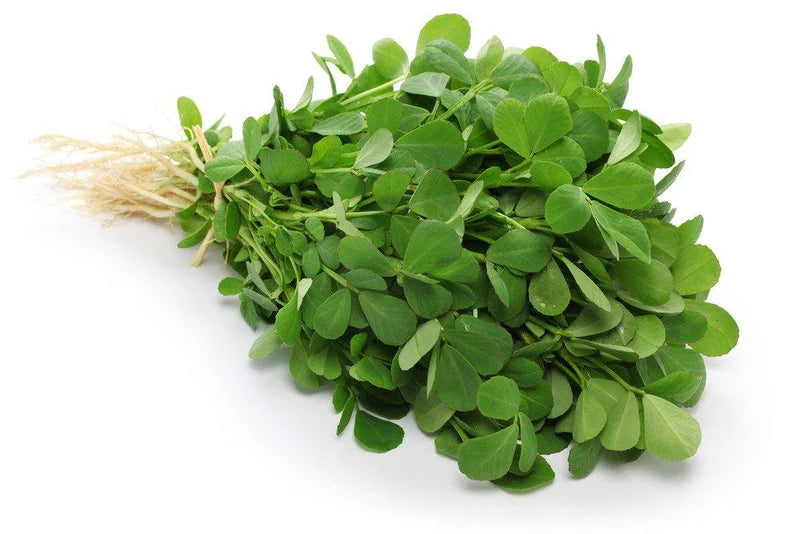 Fresh - Fenugreek(Methi) - 1Ct