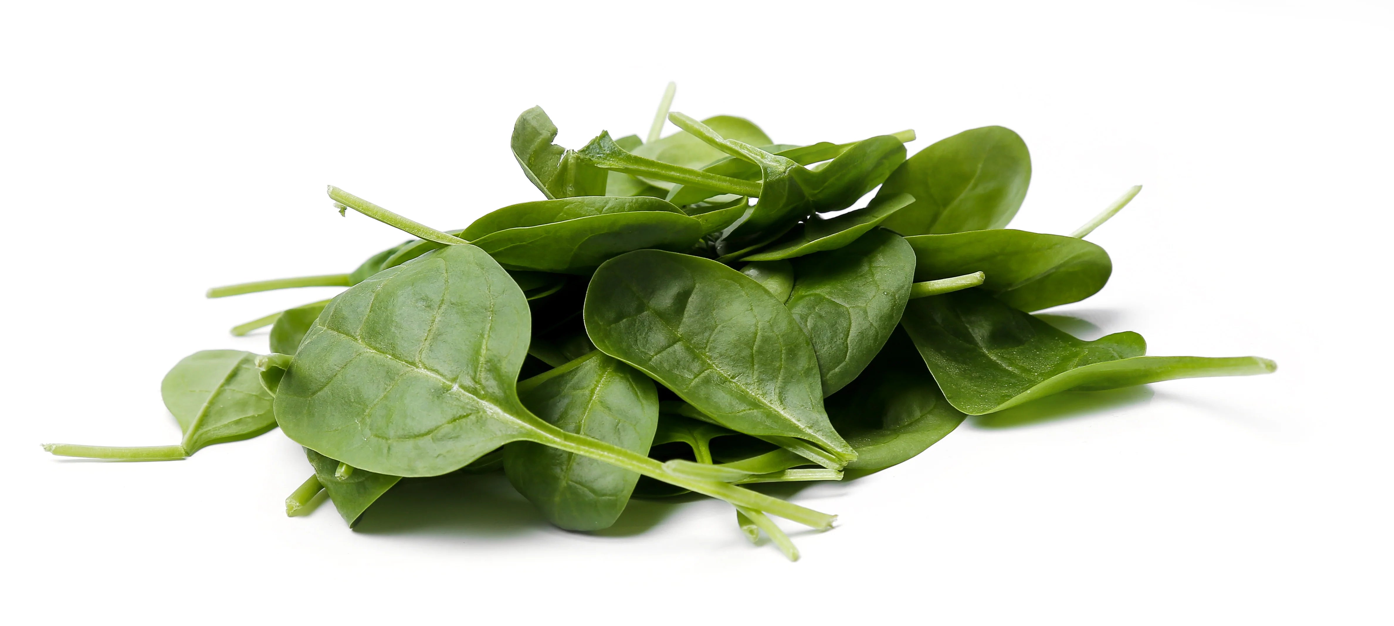 Fresh - Baby Spinach - 2lb