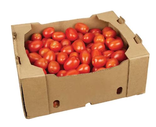 Fresh - Roma Tomato - 15Lb