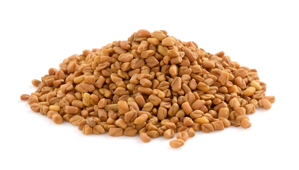 Fenugreek Seeds (Methi Seeds)