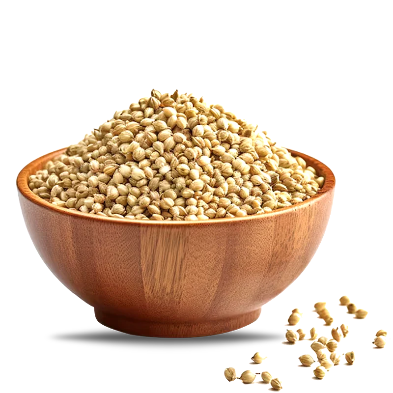 Coriander Seeds - 5 Lb