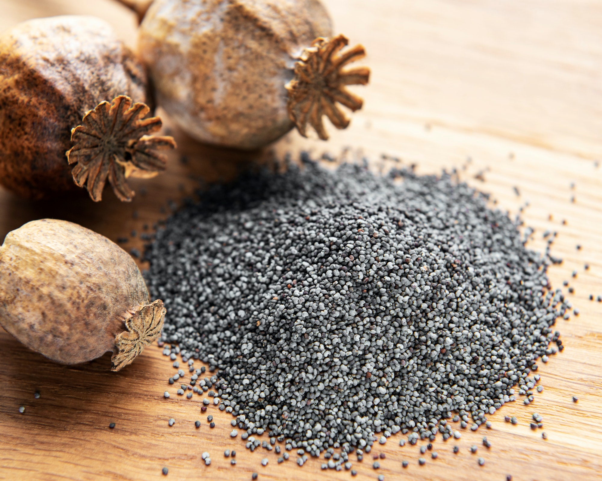 Poppy Seeds - Blue - 5 Lb