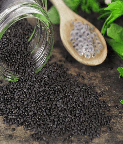 Basil Seeds (Tukmalanga)