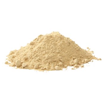 All Seasons - Onion Powder - 454g