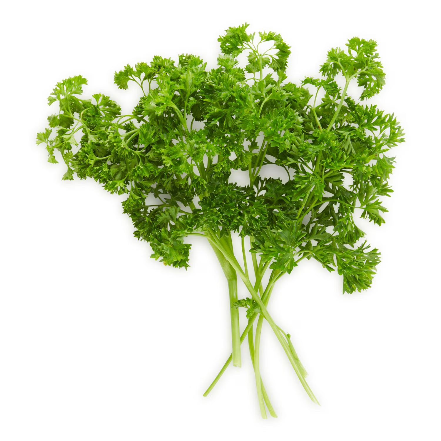 All Seasons - Parsley - 5Lb