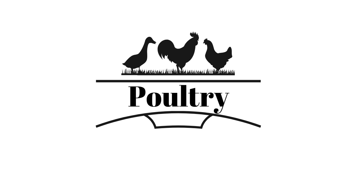 Poultry
