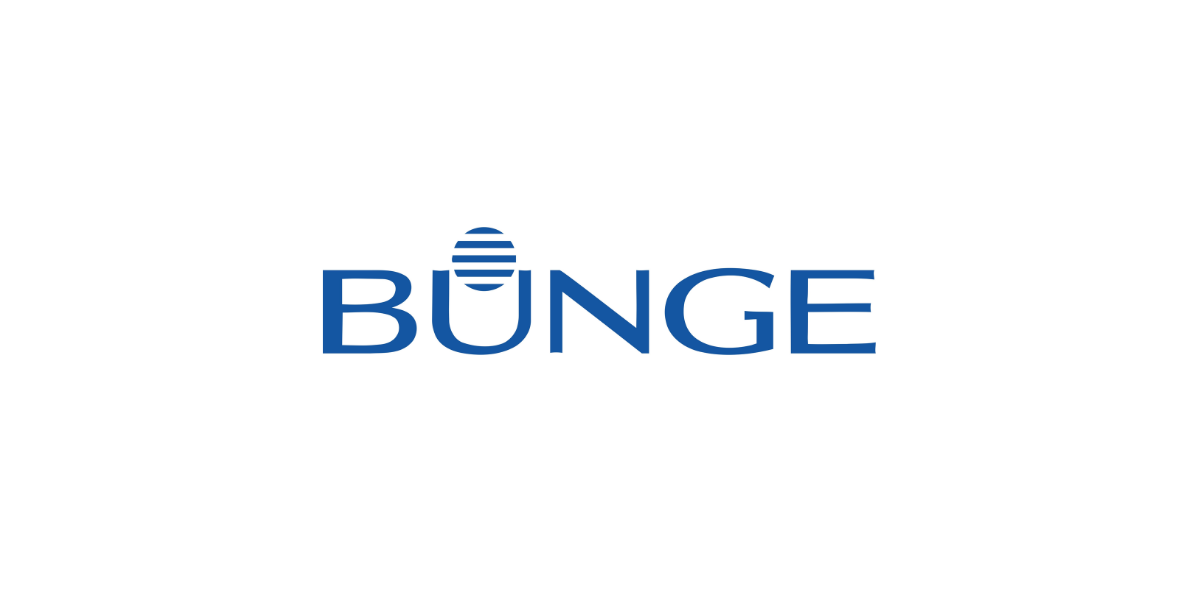 Bungee