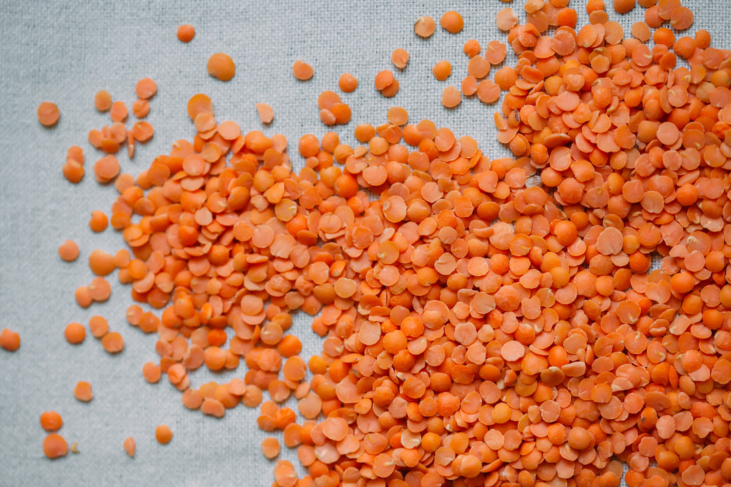 NaturZ/SF - Red Split Lentils - 4Lb