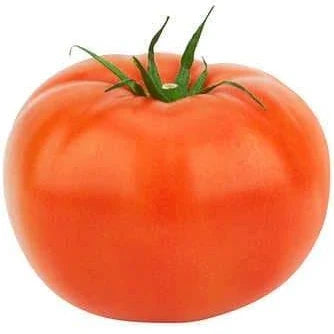 Fresh - Tomato - 5Lb
