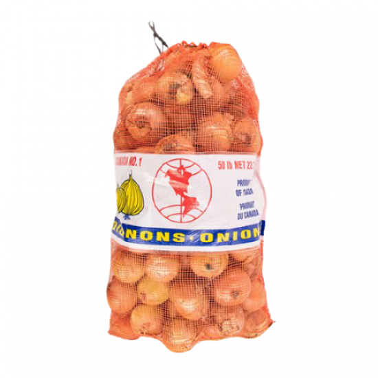White Cooking Onion