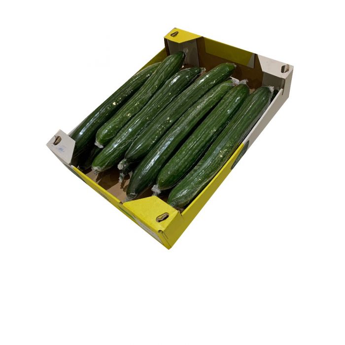 Fresh - Cucumber