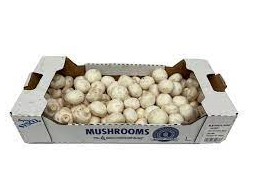 Fresh - Mushroom