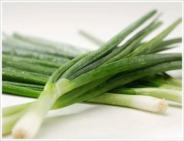 Fresh - Green Onion - Spring