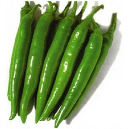 Fresh - Long Chilly