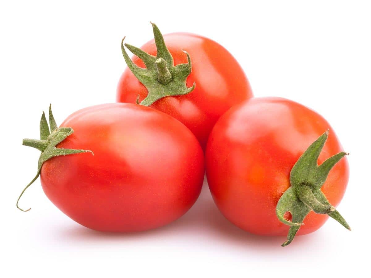 Fresh - Tomato - Roma