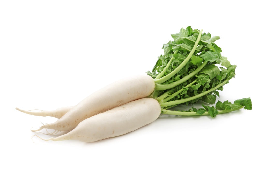 Fresh - Daikon(Radish)