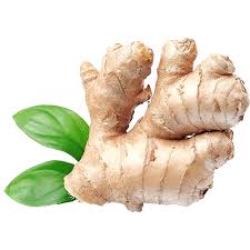 Fresh - Ginger
