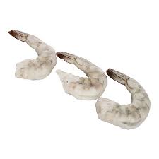 Shrimp - 13/15
