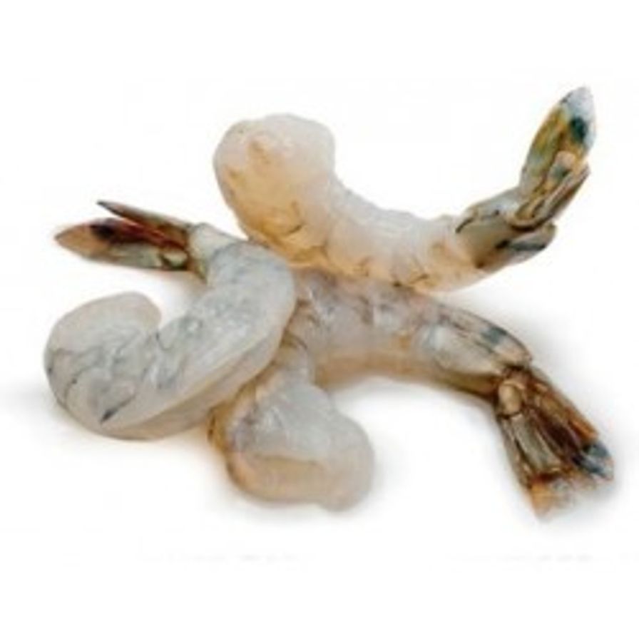 Shrimp - 16/20